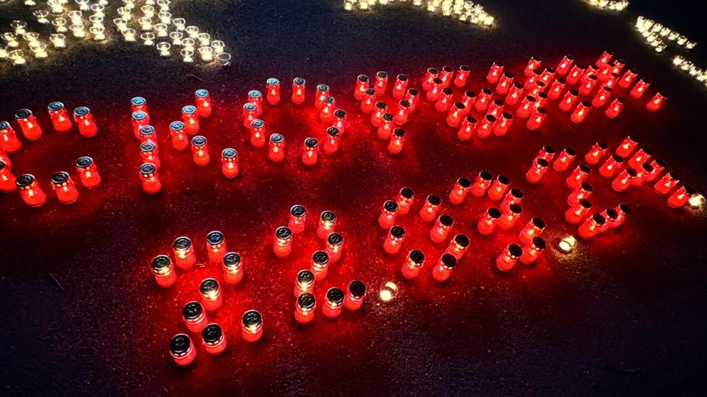 «Единая Россия» и жители Ставрополя присоединились к акции «Журавли»