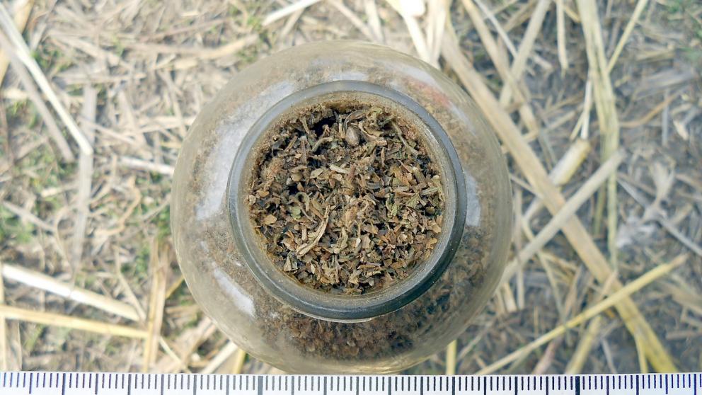 Ставрополец хранил наркотики в стоге сена