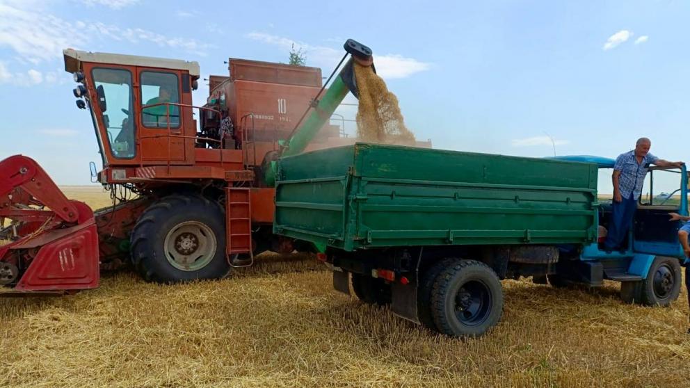 Аграрии Ставрополья собрали уже почти 900 тысяч тонн зерновых