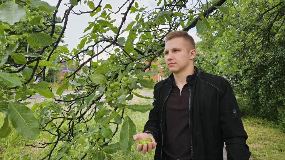 Выпускник из Предгорья планирует открыть ореховый бизнес и оказывать помощь участникам СВО