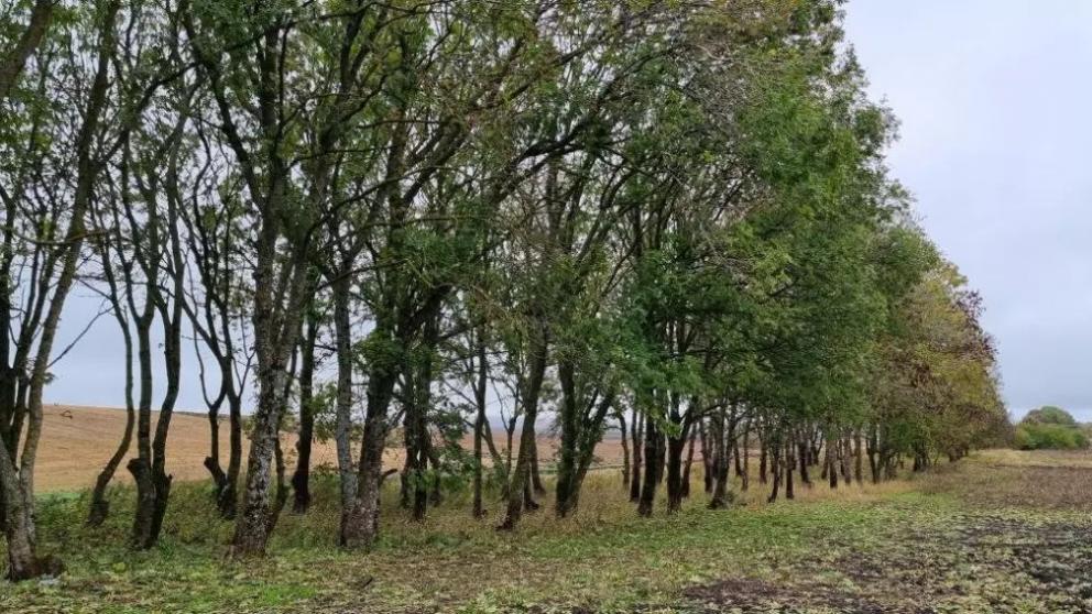 Ставрополье стало активным участником национального проекта «Экология»