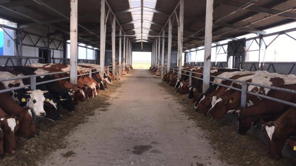 На Ставрополье дан старт льготному кредитованию аграриев