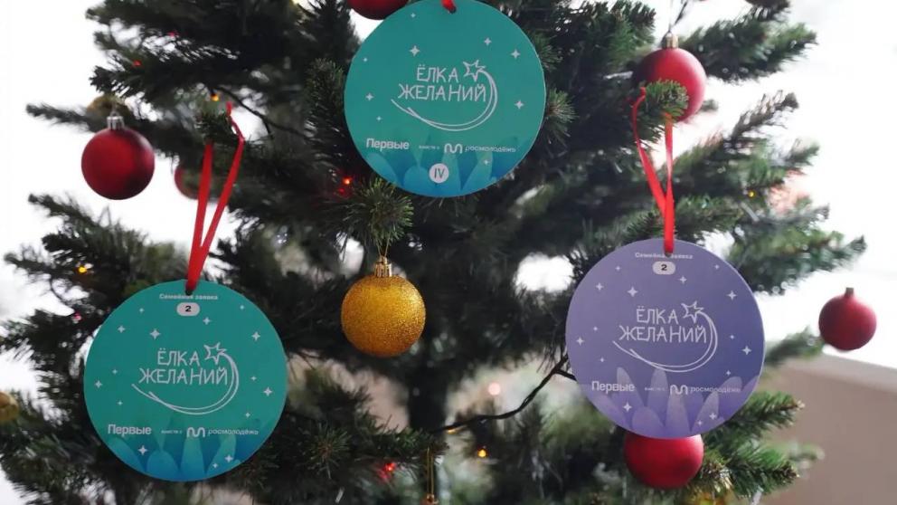 Андроповский округ Ставрополья присоединился к Всероссийской акции «Елка желаний»