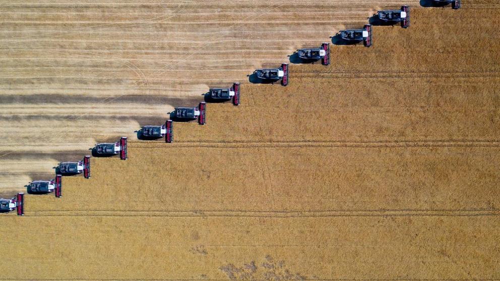 Владимир Владимиров: На Ставрополье качество собранного зерна выше прошлогоднего