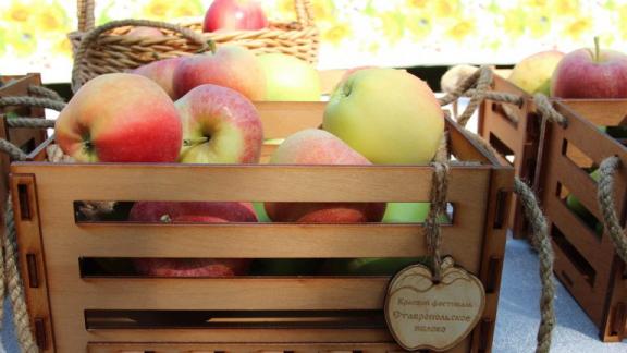 Началась подготовка к ежегодному фестивалю «Ставропольское яблоко»