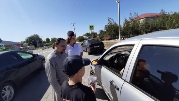 «Антискоростными» орехами угощали водителей и пешеходов Ставрополья