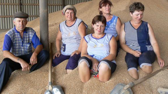 Трудовые будни второй бригады СПК-племзавода «Дружба»