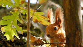 Осадки ожидаются в южной части Ставрополья на выходных