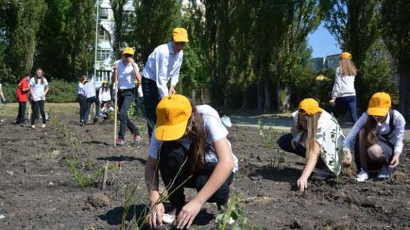 Школьники украшают розами Ставрополь