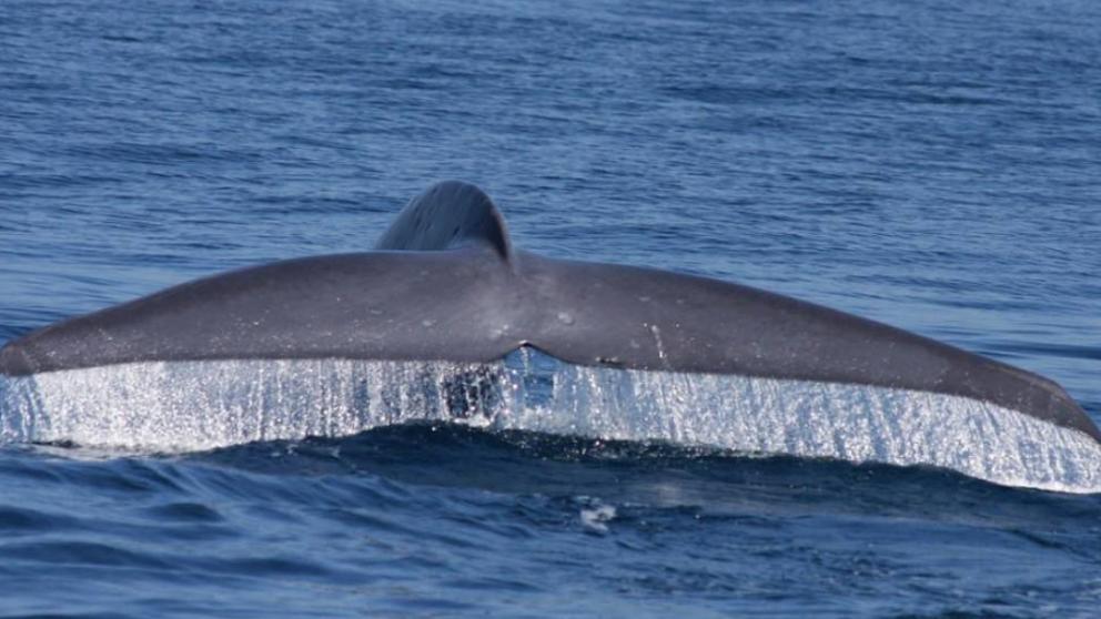 Самые популярные экскурсии в Мурманске