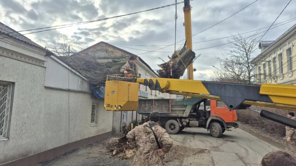 В Ставрополе устраняют последствия сильного ветра