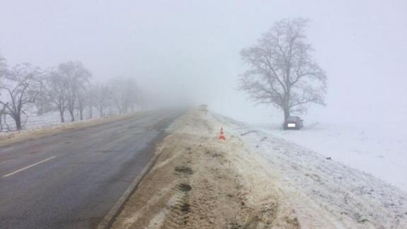 «Лада Гранта» влетела в дерево в Будённовском районе, пострадали мать с ребёнком