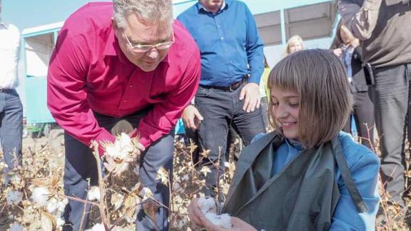 Завод по переработке хлопка планируют построить в Будённовском районе