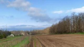 Саженцы Ставрополья под особым контролем