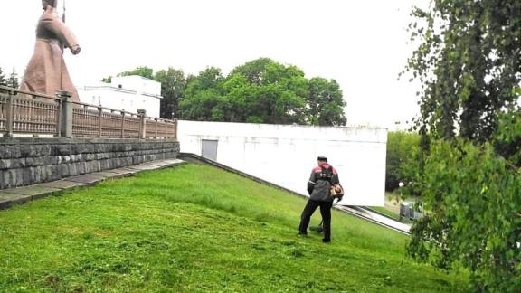 В Ставрополе в третий раз вышли на борьбу с заросшими газонами