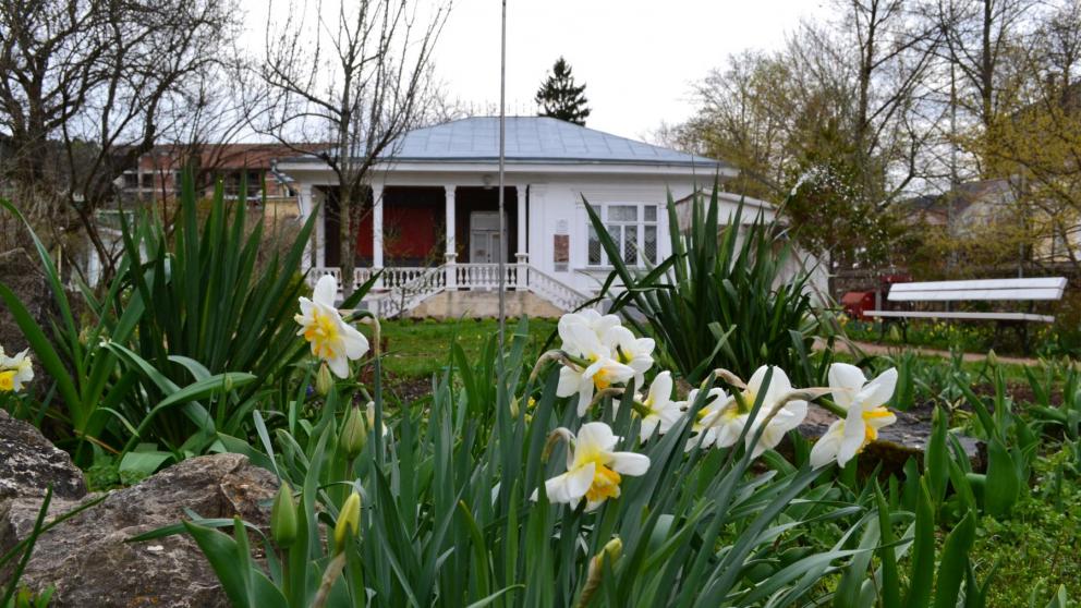 В Кисловодском музее-усадьбе «Белая вилла» стартовал онлайн-проект «Ярошенко на Кавказе»