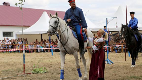 Терский конезавод провел традиционный день открытых дверей