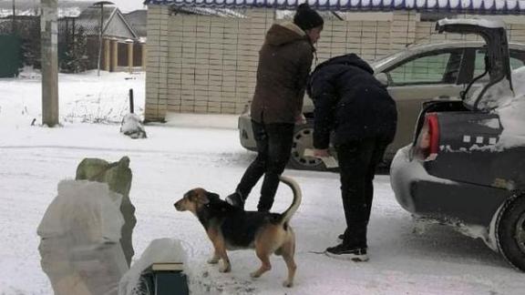 В Невинномысске образовательные учреждения сдали свыше тонны макулатуры