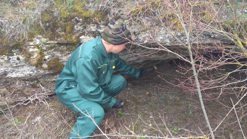 На Ставрополье завершился начальный этап вакцинации диких животных от бешенства