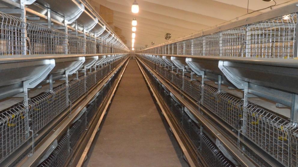 На Ставрополье модернизируют Преображенскую птицефабрику