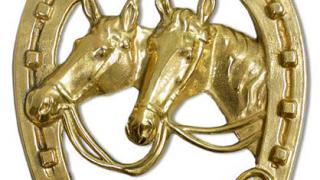 На новый год повесьте подкову на удачу