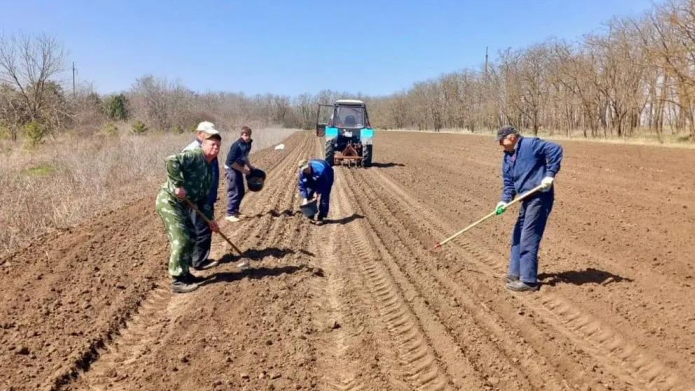 Более 5 млн рублей направят на развитие ставропольских питомников 