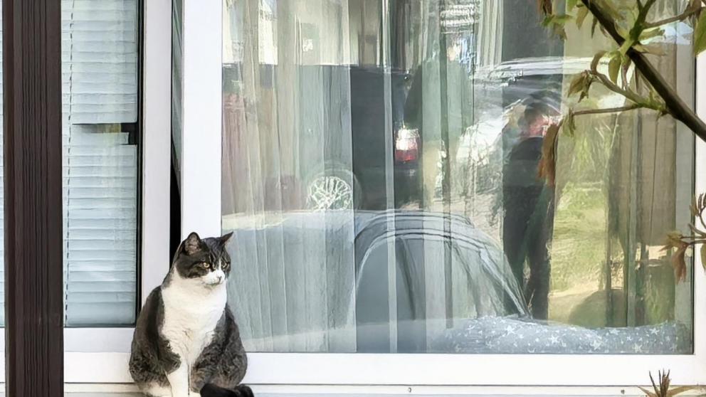 На Ставрополье выбрали подрядчика для капремонта 14 многоэтажек