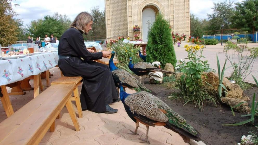 Вещие сны, павлины, маслята и другие чудеса храмов в Апанасенковском округе