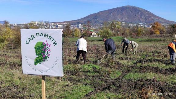 Остановить надвигающиеся пески: как на Ставрополье идёт борьба с опустыниванием земель