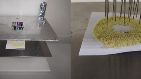 Станция шелководства Ставрополья выиграла грант Российского научного фонда