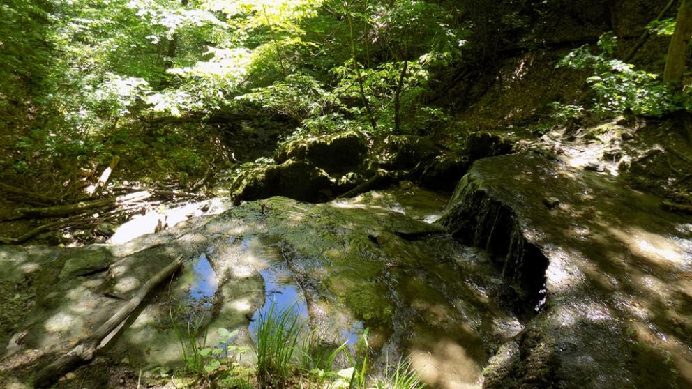 Ставропольцы могут отправиться в путешествие по Татарскому городищу