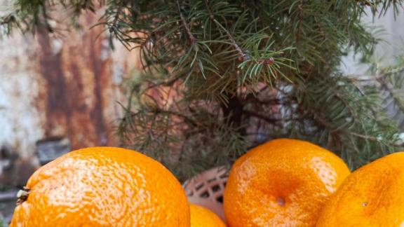 Две трети жителей СКФО будут использовать искусственный интеллект при планировании Нового года