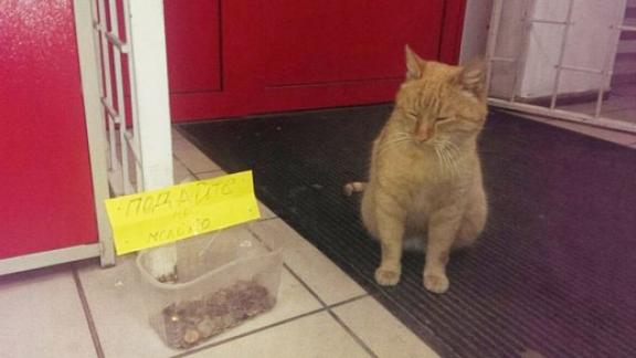 Чубайс собирает деньги на молоко в супермаркете Ставрополя