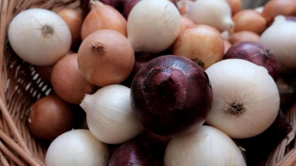 78 тысяч тонн лука собрали в Ставропольском крае