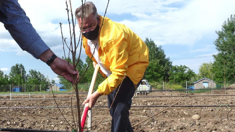 Эксперт: Власти Ставрополья и инвесторы не снижают ставки на садоводчество