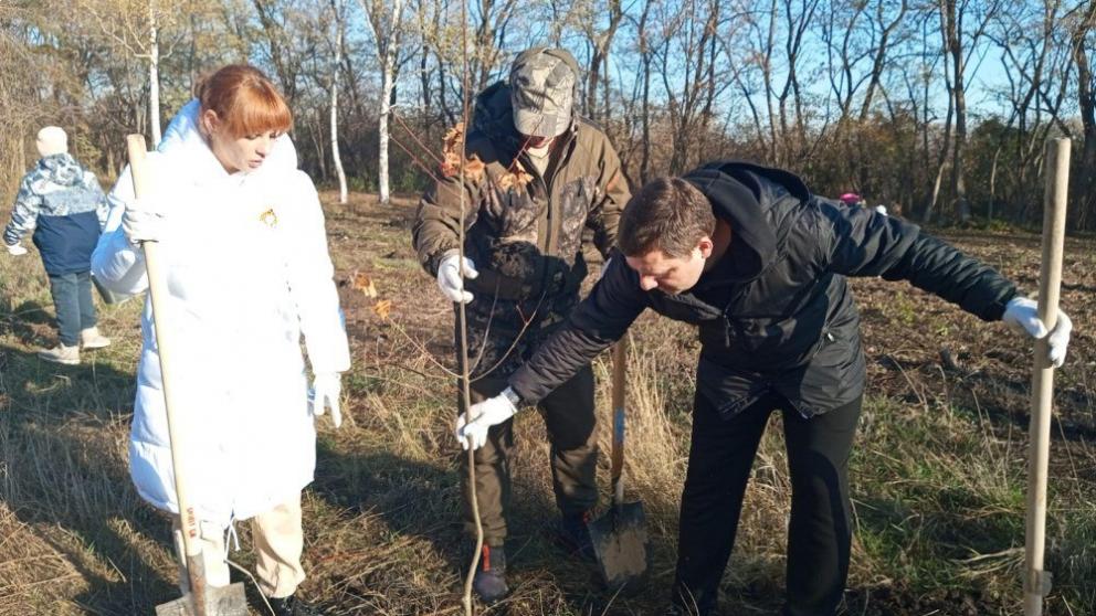 Зелёный субботник прошёл в Шпаковском округе Ставрополья