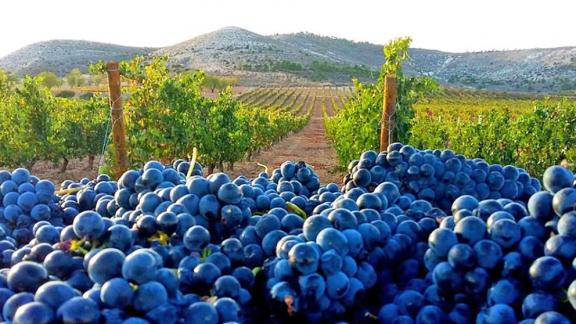 Ставропольский край вошел в пятерку ведущих регионов страны по энотуризму