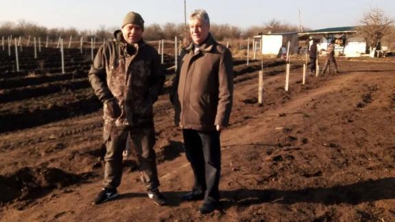 Благодаря гранту «Агростартап» фермер на Ставрополье разбил виноградник