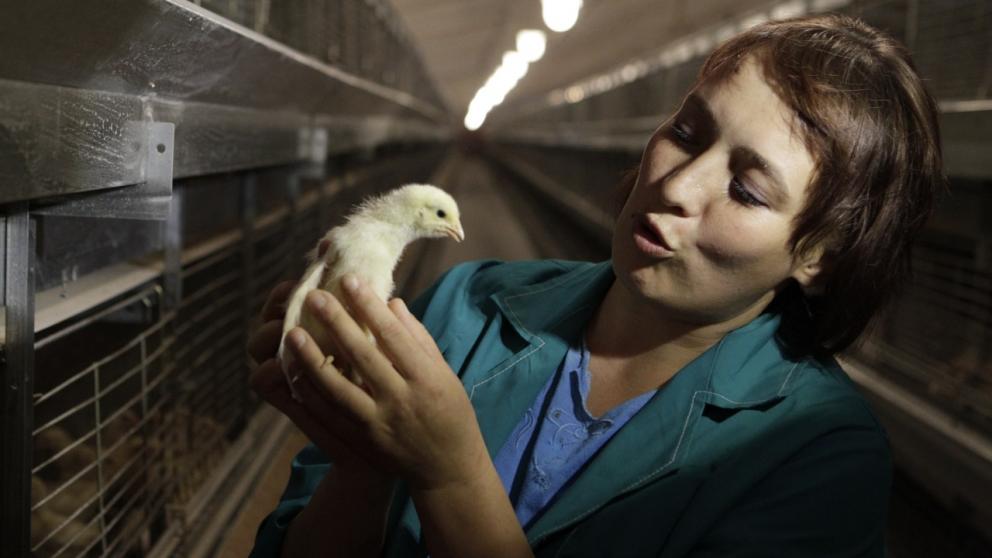 На Ставрополье действуют программы поддержки предпринимателей