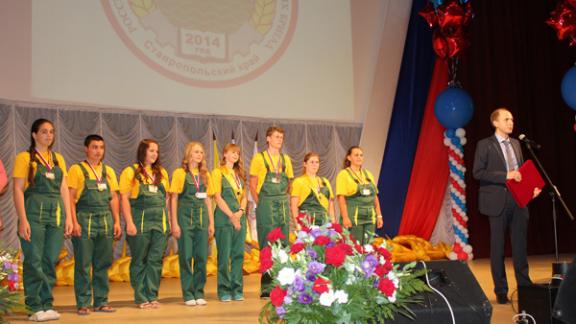 На слете ученических бригад названы имена победителей конкурсов профессионального мастерства