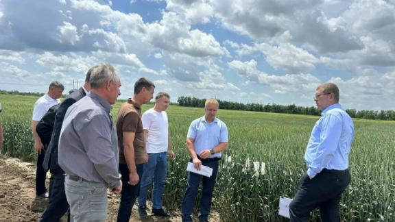 На Ставрополье прошло первое предуборочное совещание