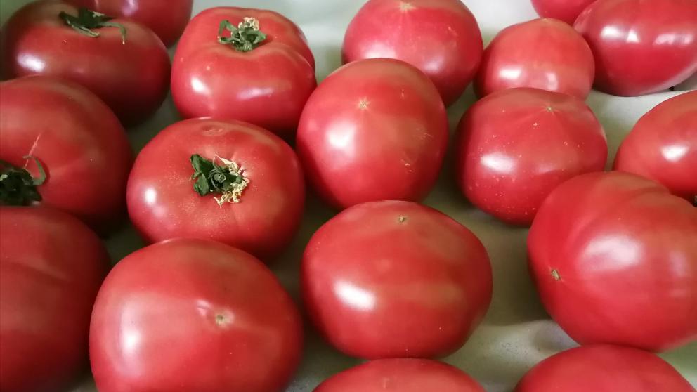 В Ставрополе в выходные дни пройдут четыре продовольственные ярмарки