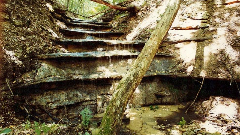 На базе Татарского городища планируют создать музей под открытым небом