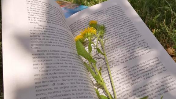 Авторы Ставрополья могут побороться за крупный денежный приз конкурса «Алый парус»