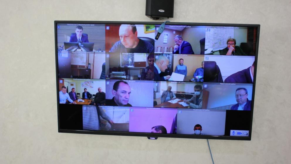 В ставропольских хозяйствах завершается уборка яблок и винограда