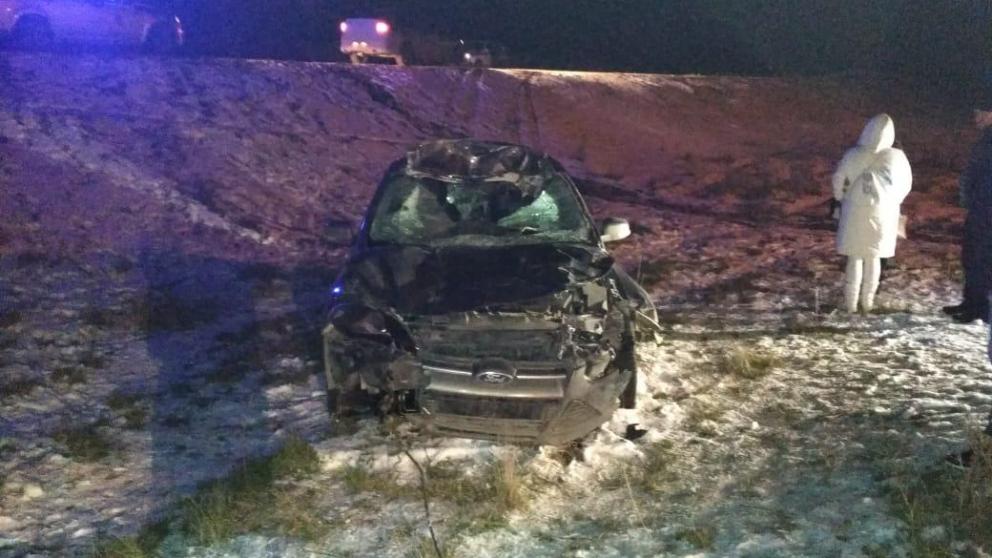 В Изобильненском округе водитель сбил корову и получил серьёзные травмы