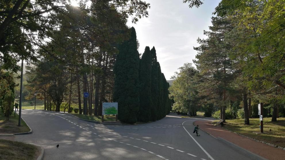 Фестиваль скандинавской ходьбы в Кисловодске соберёт более 200 участников