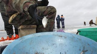 Соревнования по подледному лову рыбы на мормышку прошли на Ставрополье