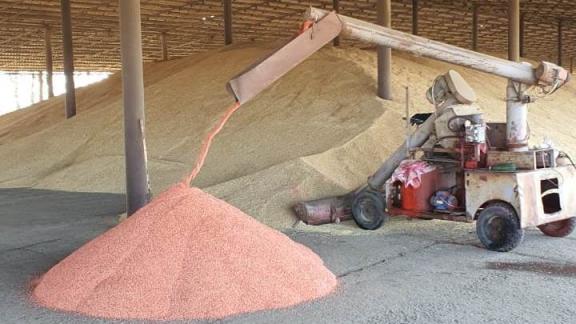 Ставропольский край обеспечен семенами к весеннему севу