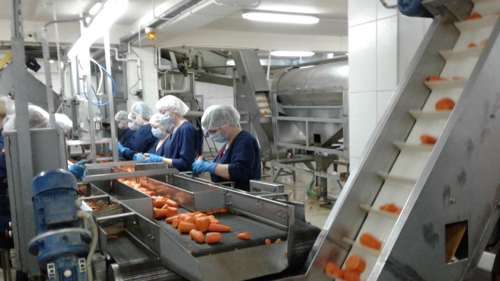 Пищепром Ставрополья вносит существенный вклад в продовольственную безопасность России